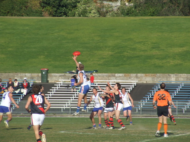 The Bulldogs take an uncontested hit-out